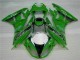 Verde Nero LeoVince Carene ZX6R 2009-2012 Verde Nero LeoVince Carene ZX6R 2009-2012