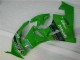 Verde Nero LeoVince Carene ZX6R 2009-2012 Verde Nero LeoVince Carene ZX6R 2009-2012