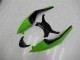 Verde Nero Rosso Carene ZX6R 2009-2012 Verde Nero Rosso Carene ZX6R 2009-2012